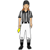 Referee Picture