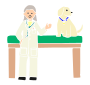Vet