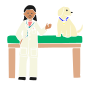 Vet