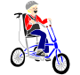 Adaptive Bike