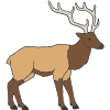 Elk