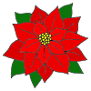 Poinsettia Picture