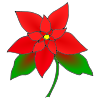 Poinsettia Picture