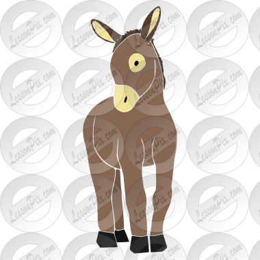 Donkey