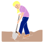 Dig