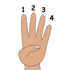 Four