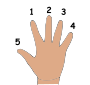 Five