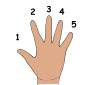 Five