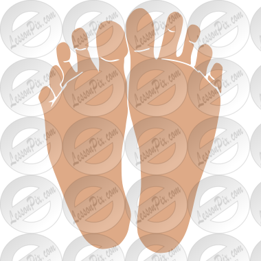 Feet