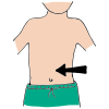 Stomach
