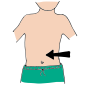 Stomach  Picture
