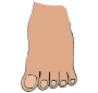 Toes