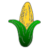 Corn Picture