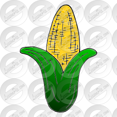 Corn Picture