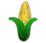 Corn Picture