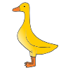 Duck Picture