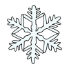 Snowflake Picture