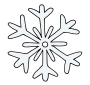 Snowflake Picture