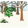 Winter Forest Picture