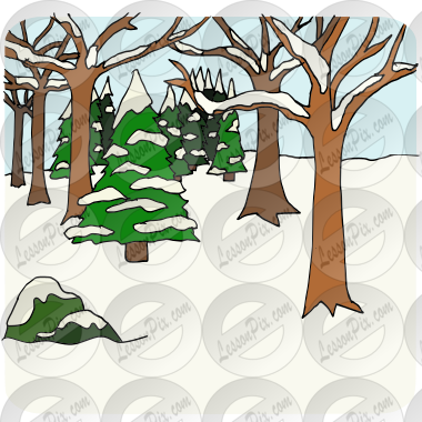 Winter Forest