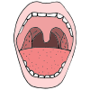 Mouth