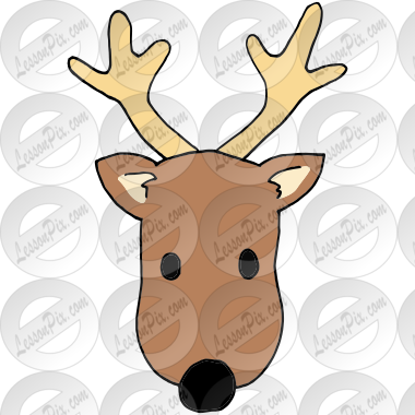 Reindeer