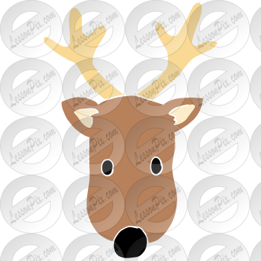 Reindeer
