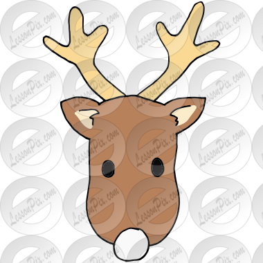 White Nose Reindeer