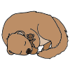 Groundhog+feels+tired.+Goodnight+groundhog_ Picture