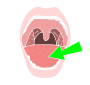 Tongue Stencil