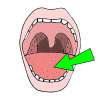 tongue Picture
