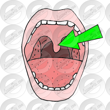 Uvula Picture