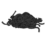 Licorice