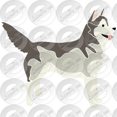 Husky