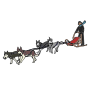 Dog Sled Team
