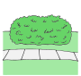 Bush  Picture