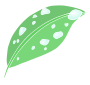 Dew