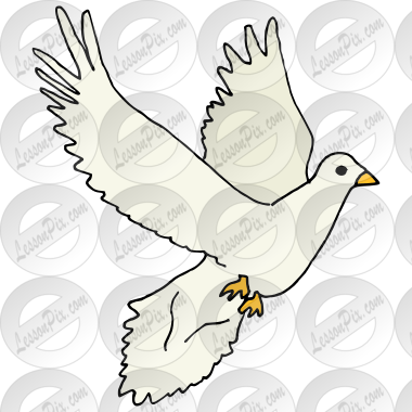Dove