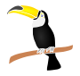 Toucan Stencil