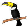 Toucan Picture