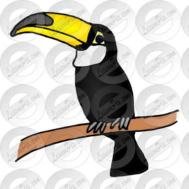 Toucan