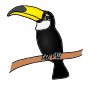 Toucan