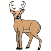 run like a deer