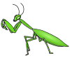 Praying Mantis