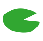 Lily Pad