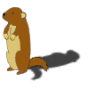 Groundhog Shadow