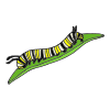 Caterpillar Picture