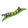 What+does+a+caterpillar+turn+into_ Picture