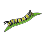 Caterpillar Picture