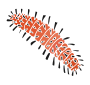 Caterpillar
